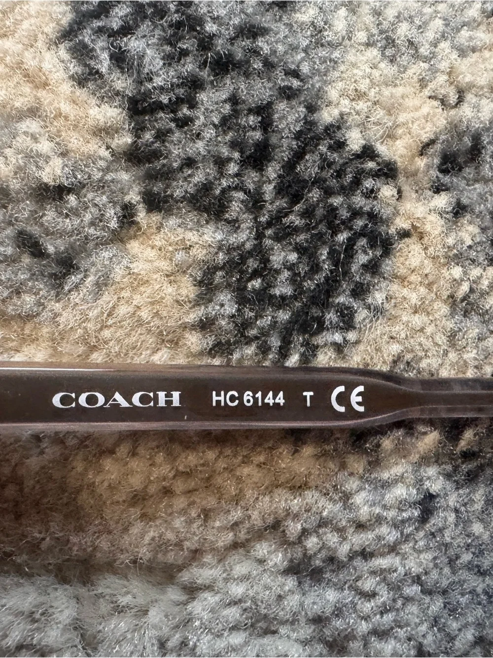 Coach stylish frames